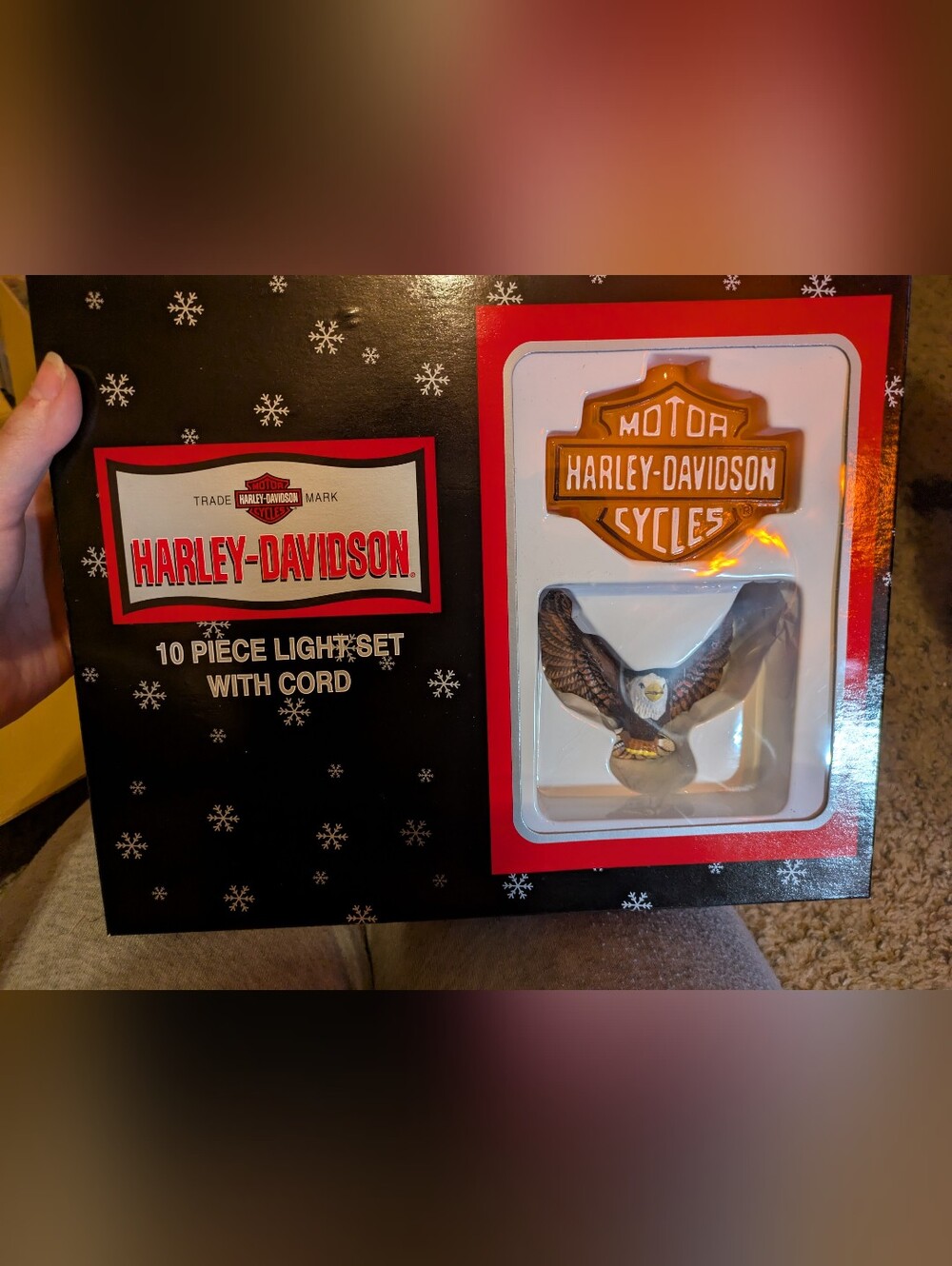 2001 Harley Davidson 10 Piece String Lights